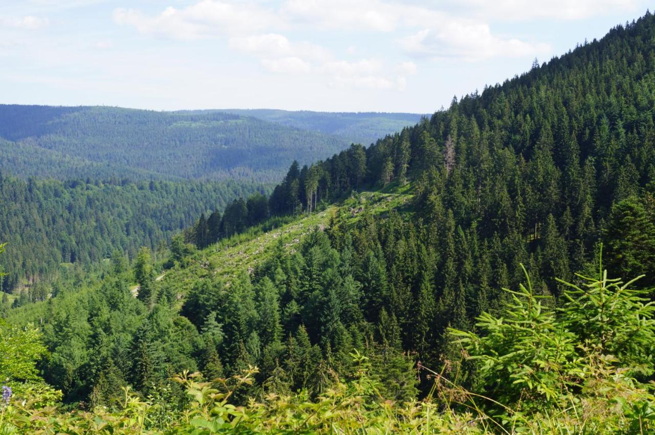 Black Forest Lodge Фройденштадт Екстер'єр фото