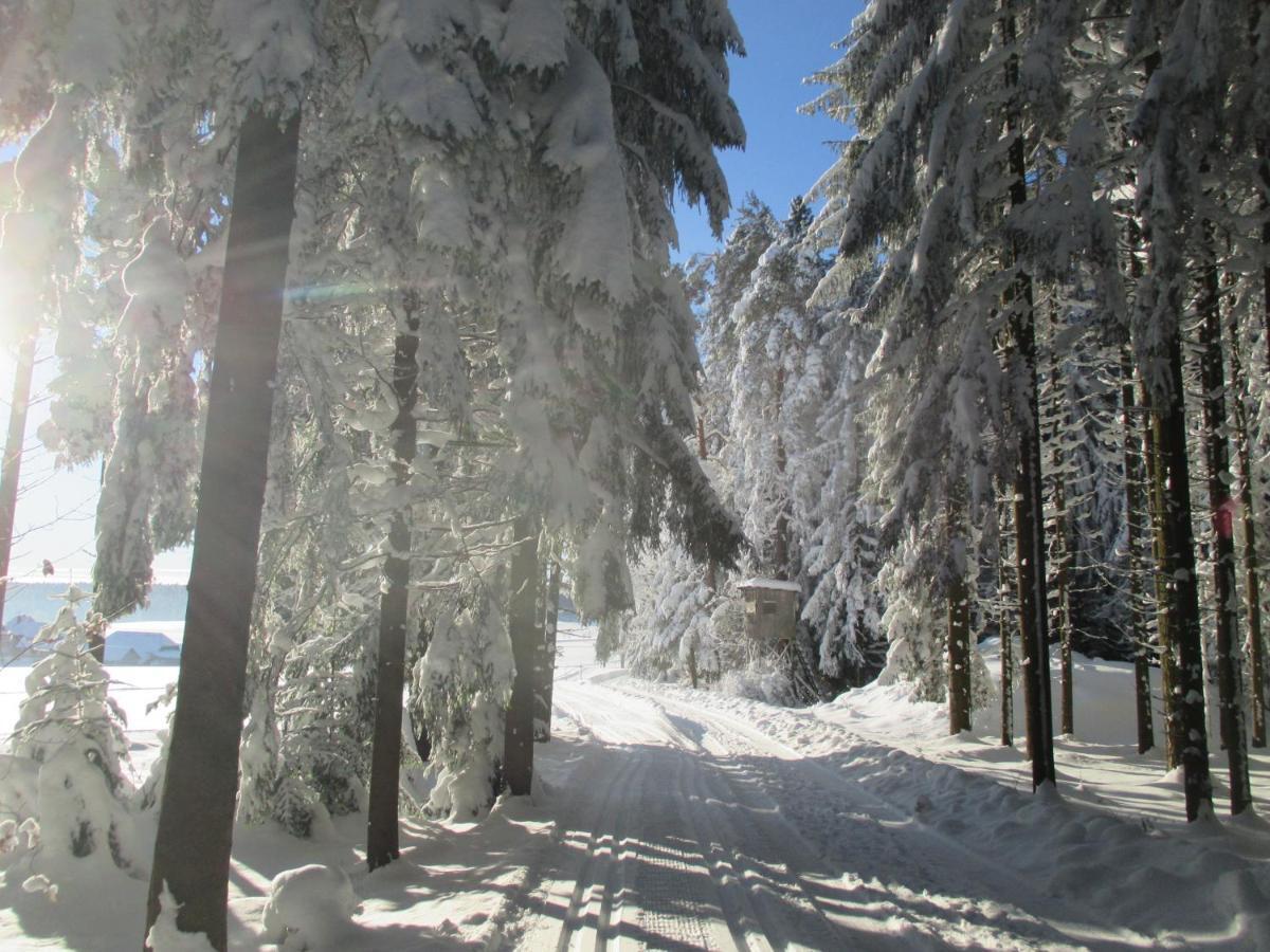 Black Forest Lodge Фройденштадт Екстер'єр фото